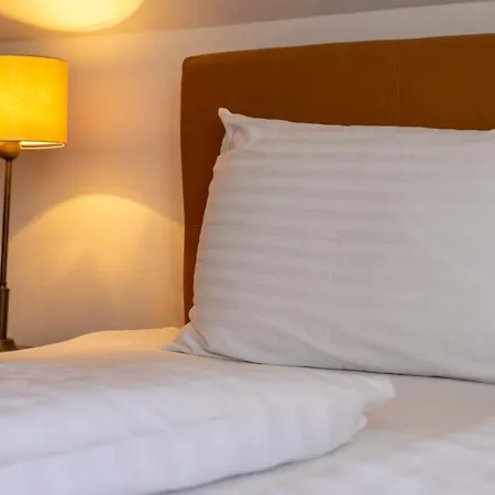 Frisko Panzio 3* Zalakaros