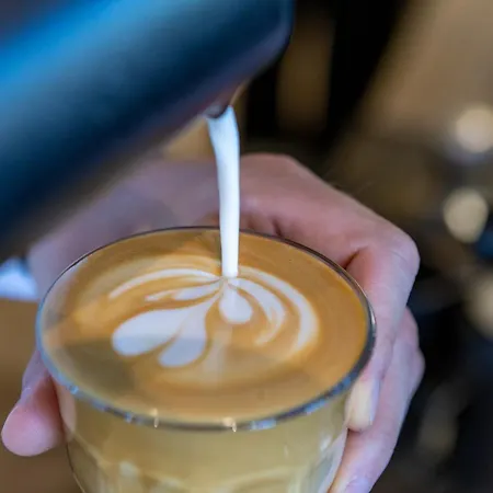 Frisko Panzio 3* زلاكاروس