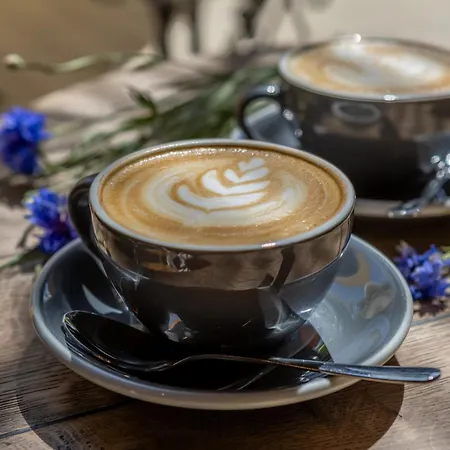 Frisko Panzio 3* زلاكاروس