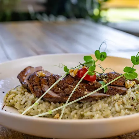 Frisko Panzio فندق مبيت وإفطار زلاكاروس