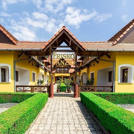 Couette-café Frisko Panzio