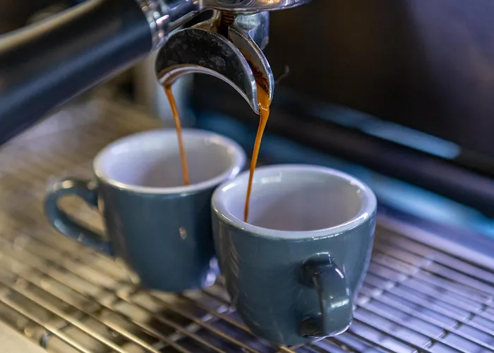 Frisko Panzio Bed & Breakfast