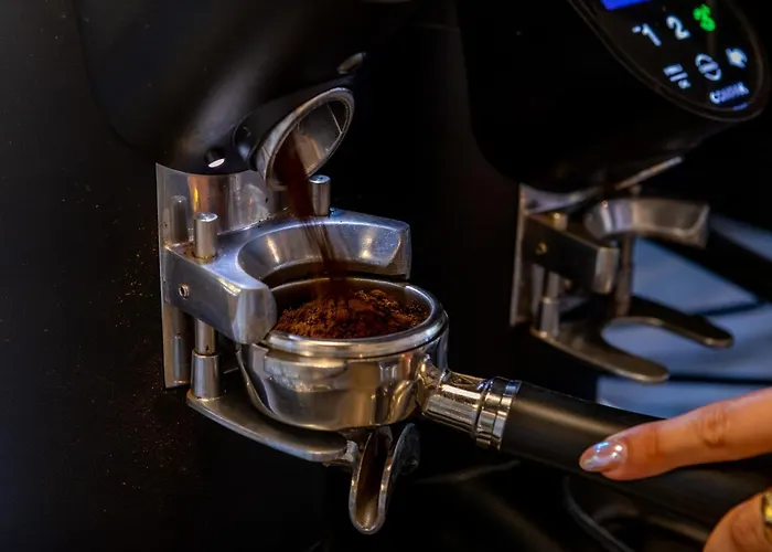 Frühstückspension Frisko Panzio