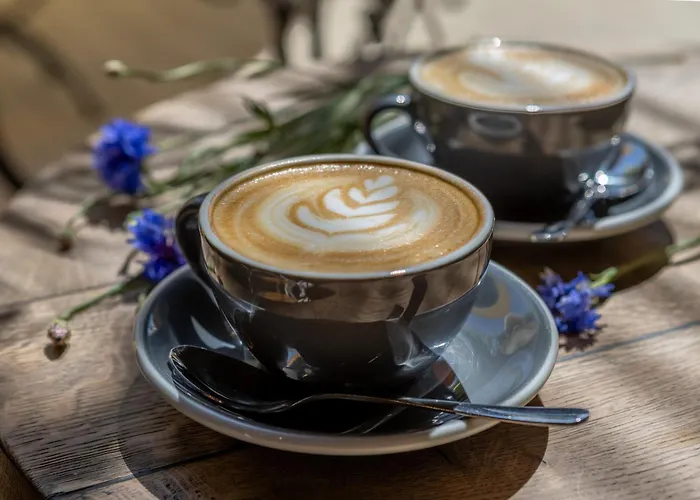 Frisko Panzio 3* Zalakaros