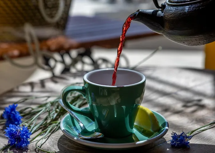 Frisko Panzio Frühstückspension 3*